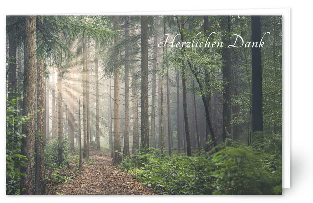 Tannenwald