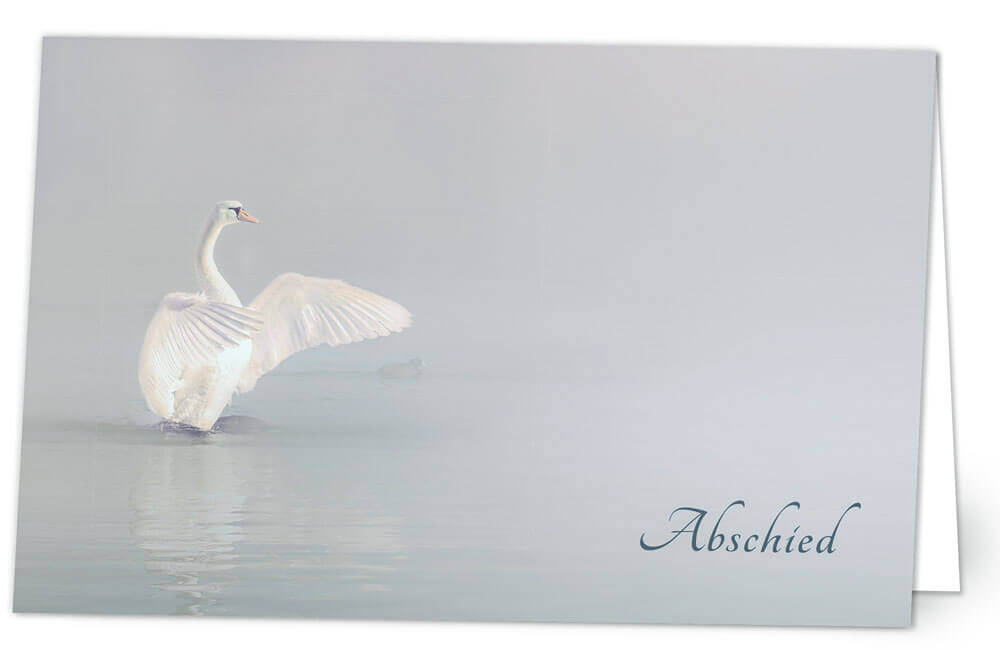 Schwan
