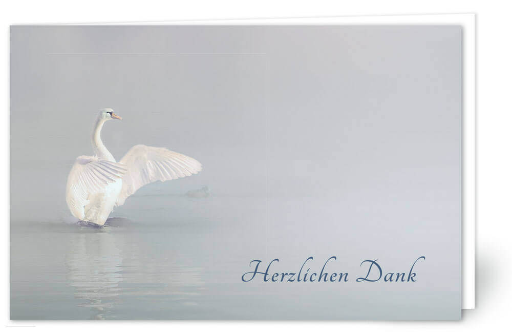 Schwan