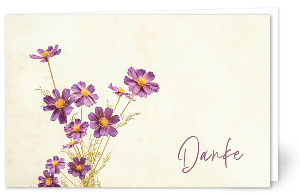 violette Blüten