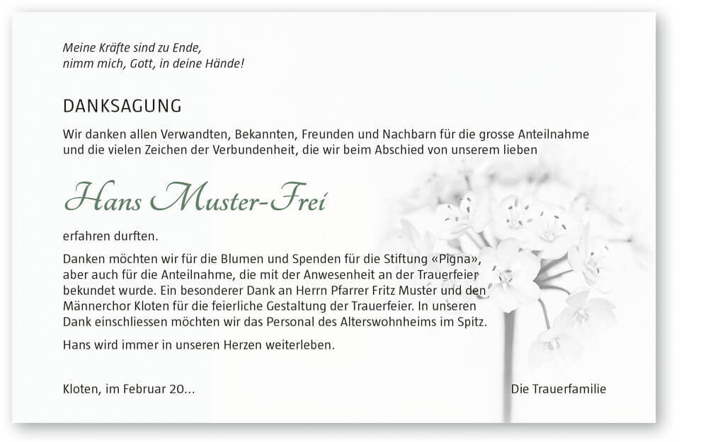 weisse Blüte