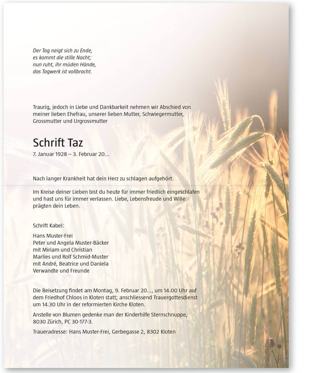 Kornfeld mit Sonne