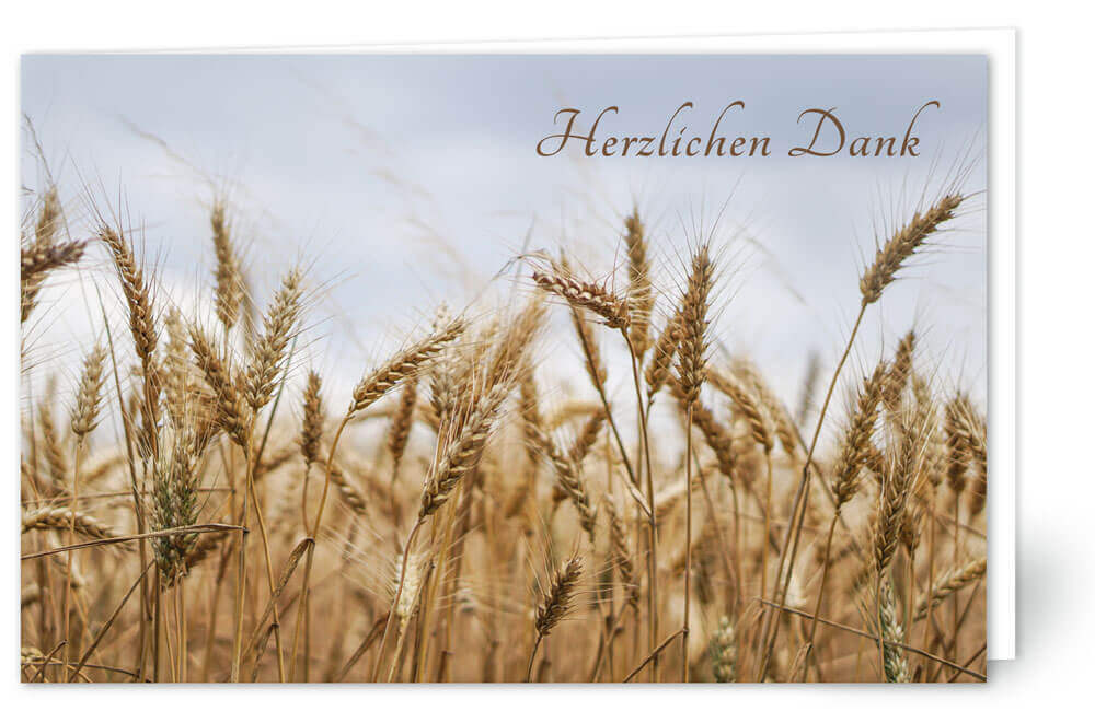 Kornfeld